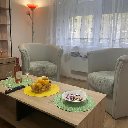Konstantin Apartment Soko Banja