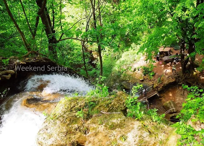 Konstantin * Soko Banja