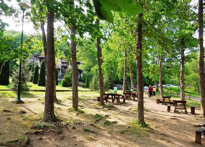 Apartman Konstantin Soko Banja